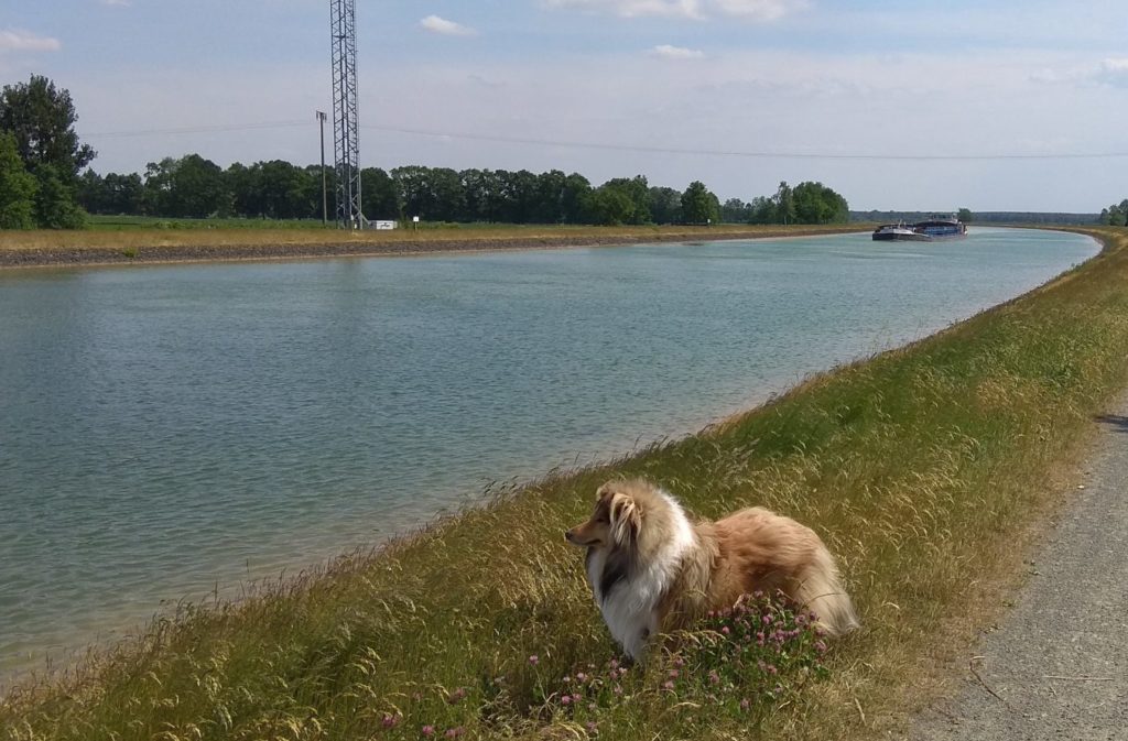 Duncan, Elbe-Seitenkanal